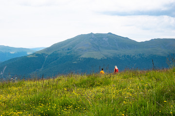 Fototapeta na wymiar A couple is hiking in a green alpine landscape, yellow flowers in the foreground
