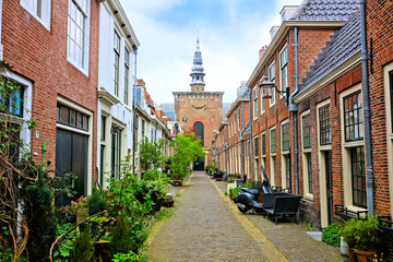 Leafy Dutch street with church tower in background, Haarlem, Netherlands - Powered by Adobe