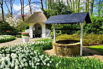 Small cottage and wishing well surrounded by spring daffodil flowers at Keukenhof Gardens,...