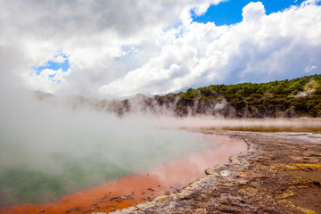 The Wonderland Champagne