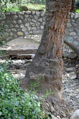 Stone Arch in a Park
