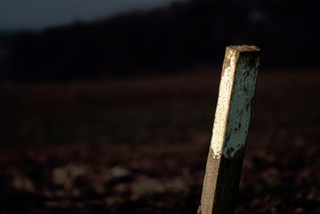 axe on wooden background