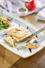 Woman eats Latin American fried empanadas with Vegetable salad with arugula. Decorated with balsamic sauce. Menu restaurant