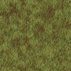 seamless plains grass vegetation background texture