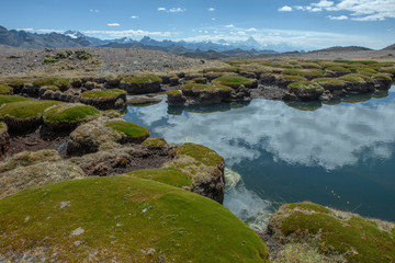 Naklejka na ściany i meble Pond and moss at National Park Huascaran Peru South America Andes. Mataraju Jungay. Cordillera Blanca