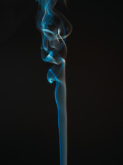 Obraz premium OLYMPUS DIGITAL CAMERA