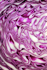 Obraz premium red cabbage in the section