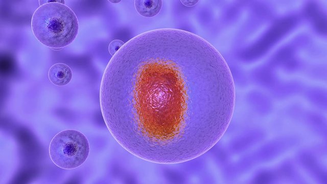 3D animation of process infecting living cell of pathogenic microorganism. Pathogenic microorganism divides inside the living cell then lyses the cell wall.