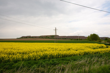 landscape of basalt quarry with yellow field and blue sky