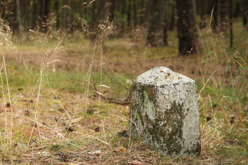 Concrete bollard in the Polish forest