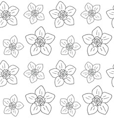 Vector seamless pattern of hand drawn doodle sketch forget me not flower isolated on white background