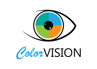 Vision Logo Vector - Isolated On White Background. Modern Eye Logo For News, Media And New Vision Logo. Flat Eye Icon. Abstract Concept Of Vision Vector