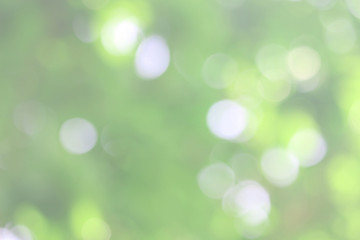 Obraz premium Bokeh green nature, Subtle background in abstract style for graphic design