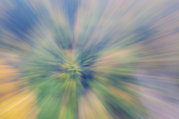 autumn forest on a bright sunny day. Abstract photo. Colorful textured background. long shutter speed.