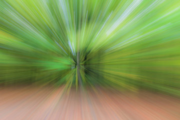 summar forest on a bright sunny day. Abstract photo. Colorful textured background. long shutter speed.