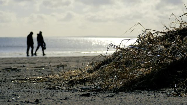 Silhouette of couple walking on the beach on cold Spring day