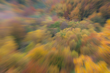 Abstract photo. Autumn forest on a bright sunny day. Colorful textured background. long shutter speed.