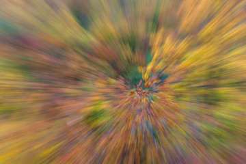 Naklejka premium Abstract photo. Autumn forest on a bright sunny day. Colorful textured background. long shutter speed.