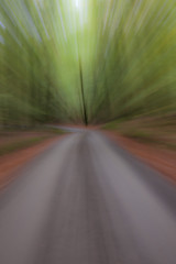 summar forest road on a bright sunny day. Abstract photo. Colorful textured background. long shutter speed.