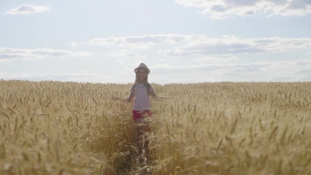 Little girl walking on a gold wheat field. Freedom child in a wheat field.