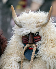 Man in a costume at the Busojaras (Buso-walking) an annual masquerade celebration of the Sokci ethnic group living in the town of Mohacs, Hungary.