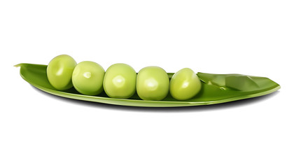 グリーンピース アイコン 野菜