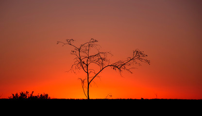 Sunset in the desert, Outback, Australia
