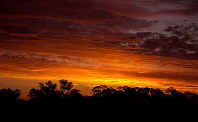Fototapeta na wymiar Sunset in the desert, Outback, Australia