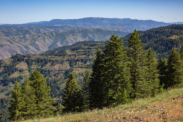 Hell's Canyon Overlook