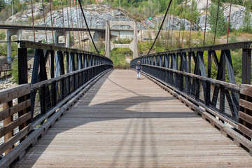 Brilliant Suspension Bridge over Kootenay River