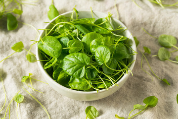 Raw Green Organic Watercress