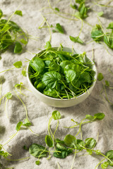 Raw Green Organic Watercress