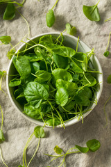 Raw Green Organic Watercress