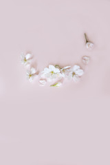 Fototapeta na wymiar 桜の春のカード
