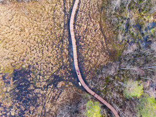 Aerial view of wooden walkway on the territory of Sestroretsk swamp, ecological trail path - route walkways laid in the swamp, reserve 
