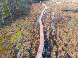 Aerial view of wooden walkway on the territory of Sestroretsk swamp, ecological trail path - route walkways laid in the swamp, reserve 