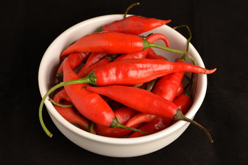 hot chilli pepper in white ceramic pot with black background
