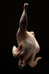 Poulet Cru, cuit, rôti