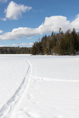 Tracks across a frozen lake in Muskoka on a beautiful winter day