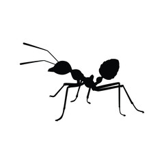 Ant silhouette vector, insect wildlife