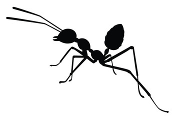 Ant silhouette vector, insect wildlife