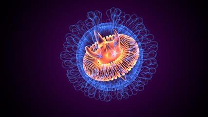 3d render of corona virus