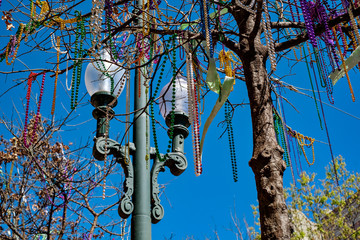 Mardi Gras Beads in Trees © Kirk Voclain