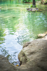 naturaleza en la huasteca potosina mexico