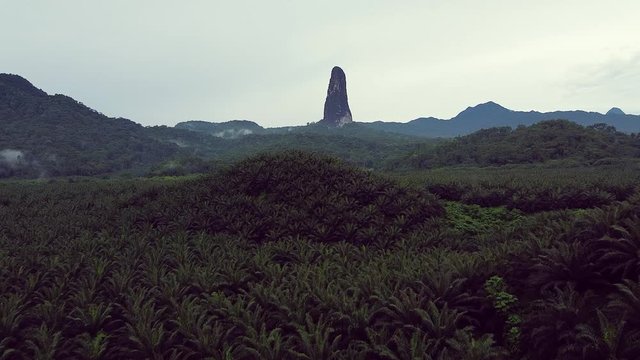 Pico Cão Grande - São Tomé e Principe - Mountain on palm industry landscape - Drone Footage