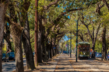 New Orleans Street Car in the Live Oak Trees