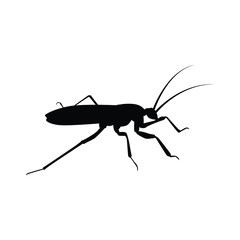 Hornet silhouette vector 