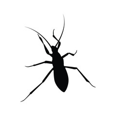 Hornet silhouette vector 