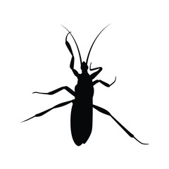 Hornet silhouette vector 