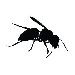 Hornet silhouette vector